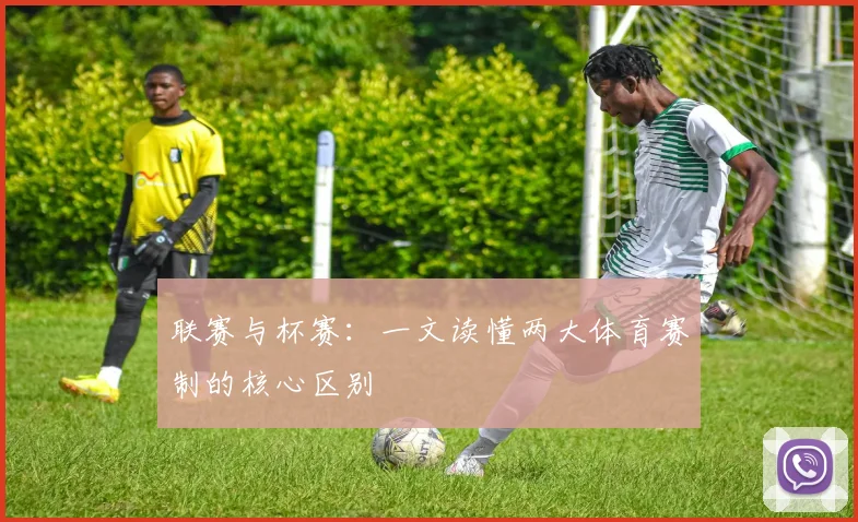 联赛与杯赛：一文读懂两大体育赛制的核心区别